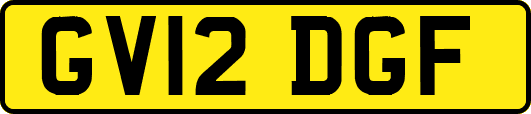 GV12DGF