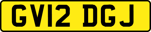 GV12DGJ