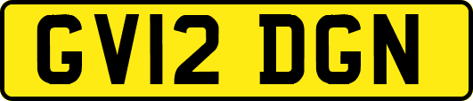 GV12DGN