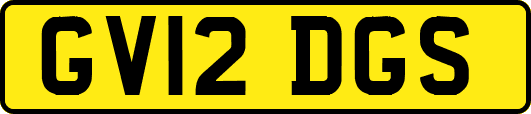 GV12DGS
