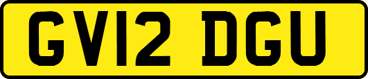 GV12DGU