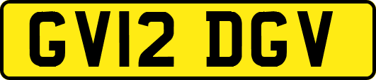 GV12DGV