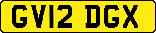 GV12DGX