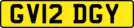 GV12DGY