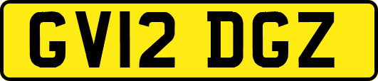 GV12DGZ