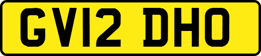 GV12DHO