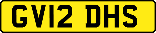 GV12DHS