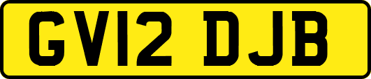 GV12DJB