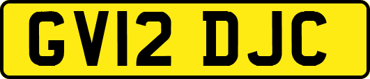 GV12DJC