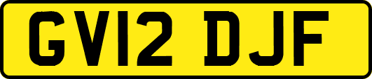 GV12DJF
