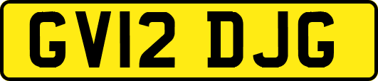 GV12DJG