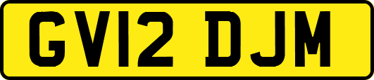 GV12DJM