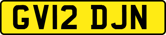 GV12DJN
