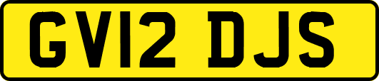 GV12DJS