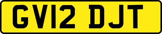 GV12DJT