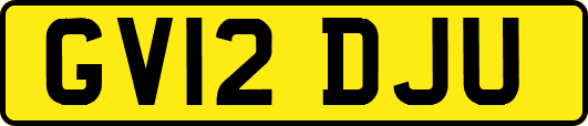 GV12DJU
