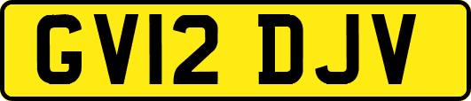 GV12DJV