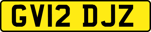 GV12DJZ