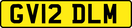 GV12DLM
