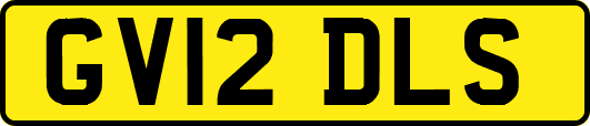 GV12DLS