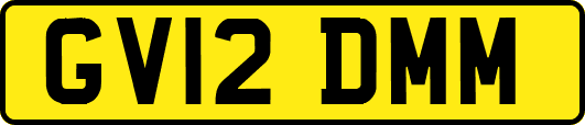 GV12DMM