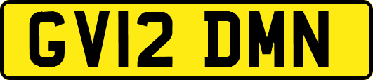 GV12DMN