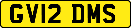 GV12DMS