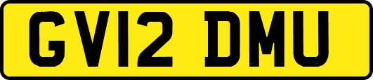 GV12DMU