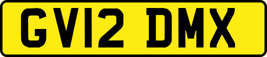 GV12DMX