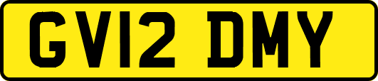 GV12DMY