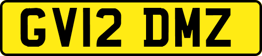 GV12DMZ