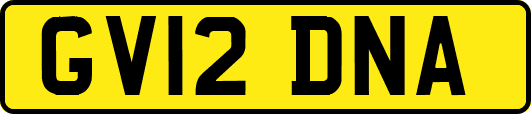 GV12DNA