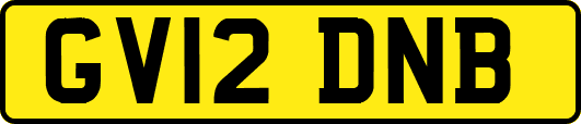 GV12DNB