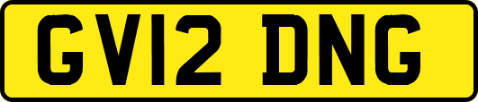 GV12DNG