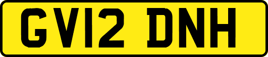 GV12DNH