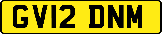 GV12DNM
