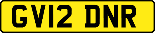 GV12DNR