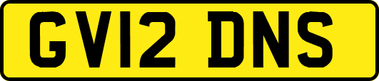 GV12DNS