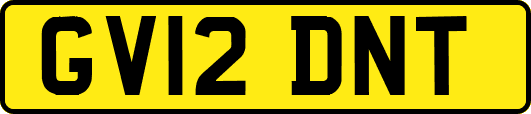 GV12DNT