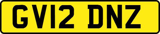 GV12DNZ