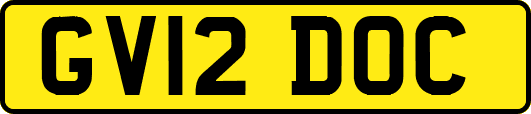 GV12DOC