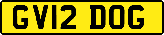 GV12DOG