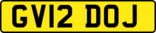 GV12DOJ