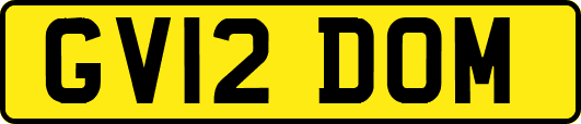 GV12DOM