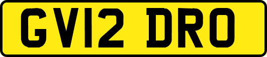 GV12DRO