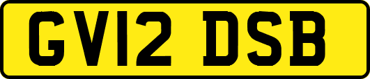 GV12DSB