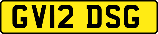 GV12DSG