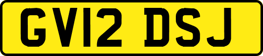 GV12DSJ