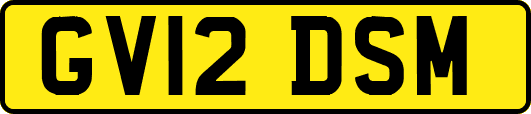 GV12DSM