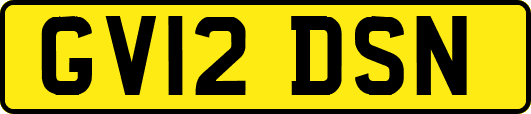 GV12DSN